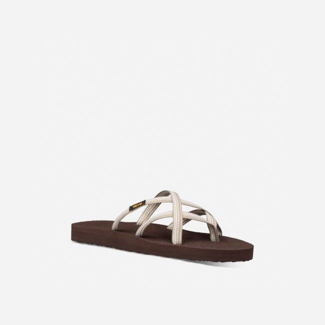 Antiguous Birch Teva Olowahu Women's Flip Flops | MC1NEEJ