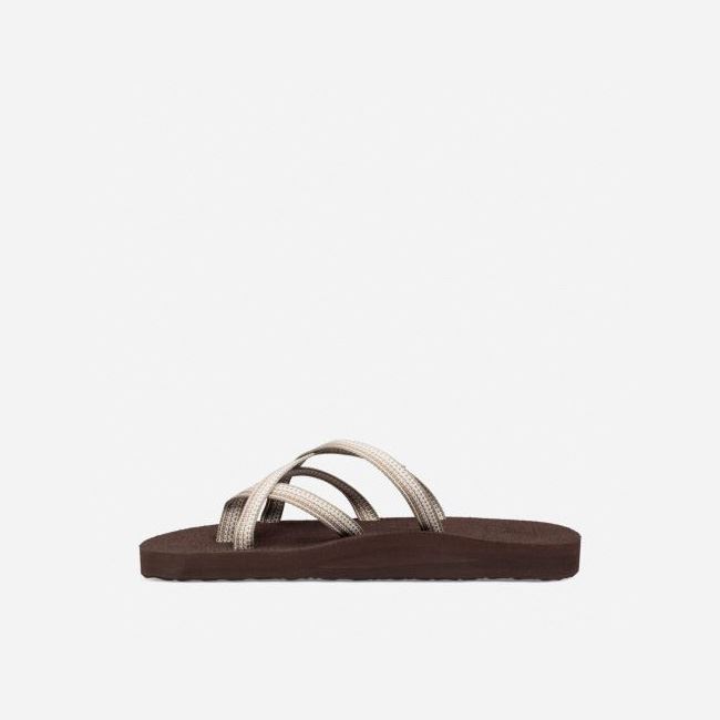 Antiguous Birch Teva Olowahu Women's Flip Flops | MC1NEEJ