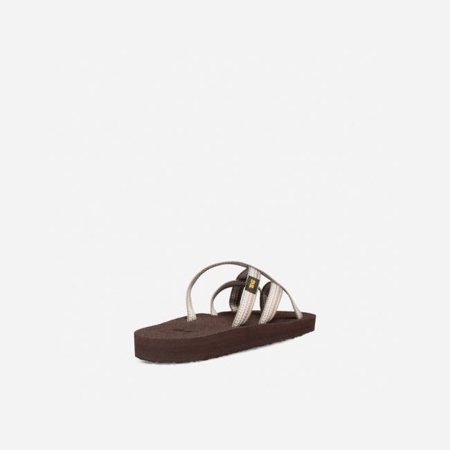 Antiguous Birch Teva Olowahu Women's Flip Flops | MC1NEEJ