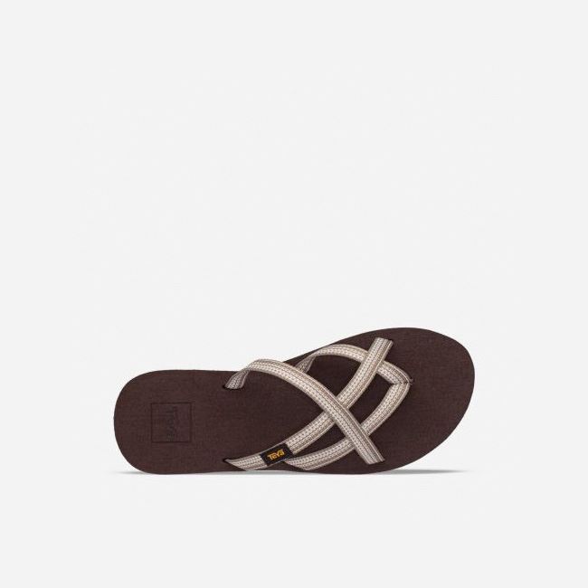 Antiguous Birch Teva Olowahu Women's Flip Flops | MC1NEEJ