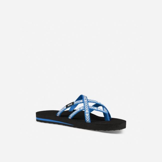 Blue Teva Olowahu Women's Flip Flops | P40NI9S