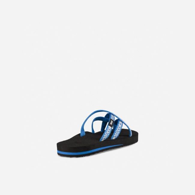 Blue Teva Olowahu Women's Flip Flops | P40NI9S