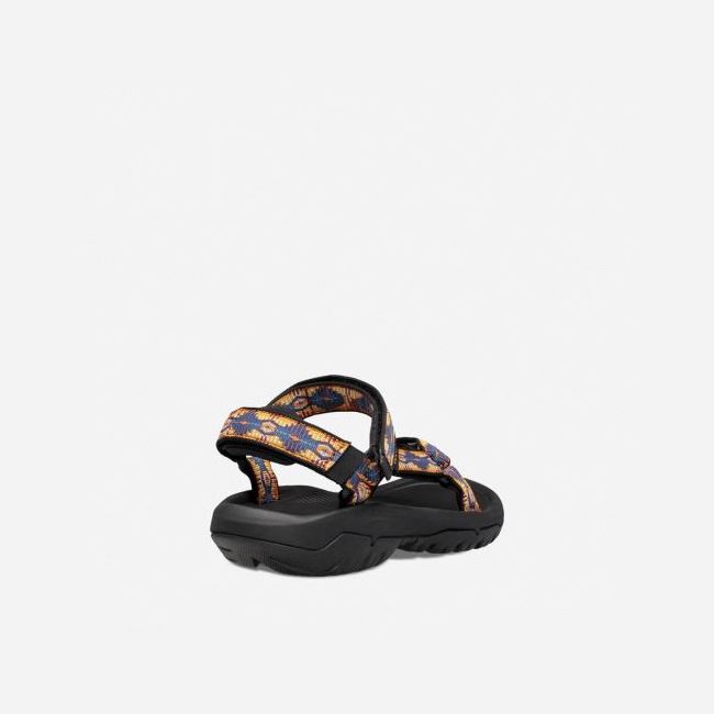 Canyon To Canyon Teva Hurricane XLT2 Men's Sandals | VYDQQ6C