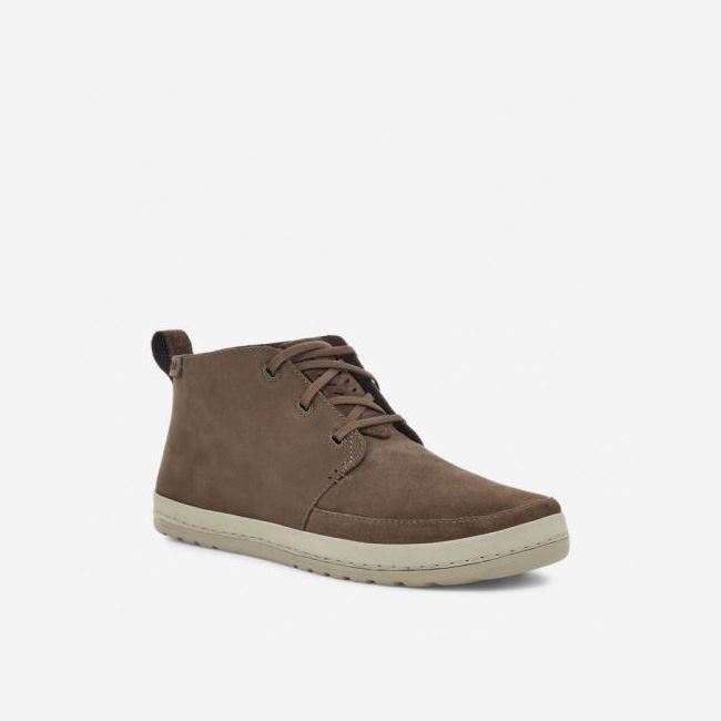 Chocolate Teva Canyon Life Chukka Men's Shoes | IWKDISX