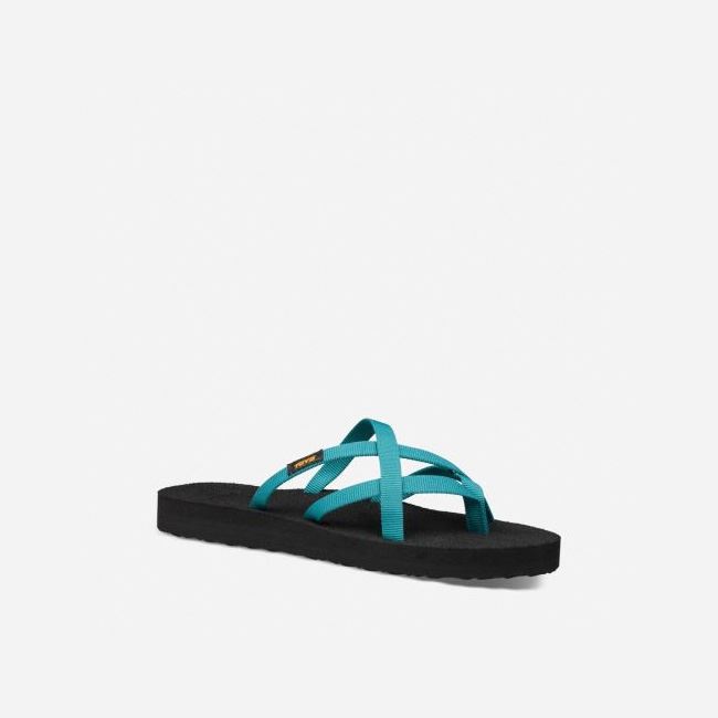 Deep Lake Teva Olowahu Women's Flip Flops | PBO6Q0M