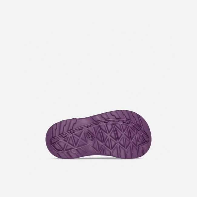 Gloxinia Teva Omnium Drift Kids' Slip Ons | BD82XJL