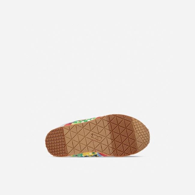 Grey / Red Teva Ember Moc - Hungry Caterpillar Kids' Slippers | HXZT57V