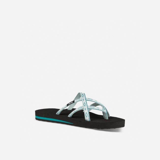 Grey Teva Olowahu Women's Flip Flops | C3J8KTO