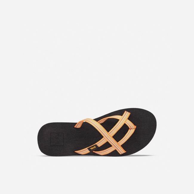 Orange Flower Teva Olowahu Women's Flip Flops | 8FO9202