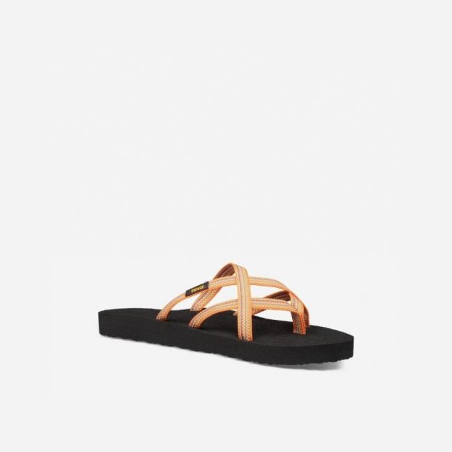 Orange Flower Teva Olowahu Women's Sandals | C5WUKGX