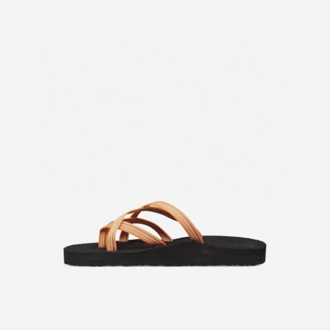 Orange Flower Teva Olowahu Women's Sandals | C5WUKGX