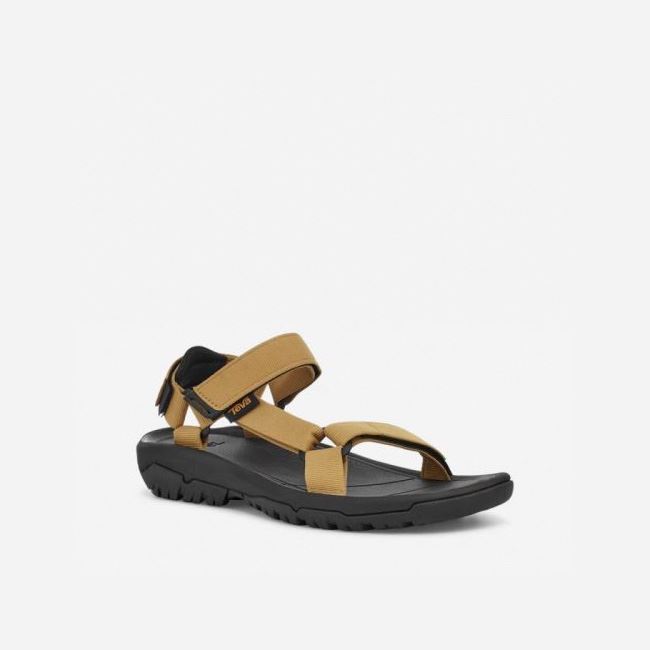 Orange Mustard Teva Hurricane XLT2 Men's Sandals | ORMHFT0