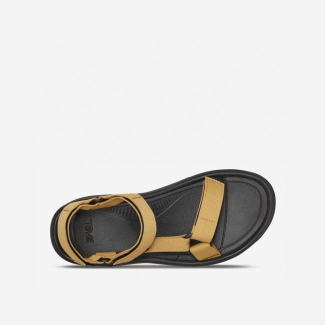 Orange Mustard Teva Hurricane XLT2 Men's Sandals | ORMHFT0