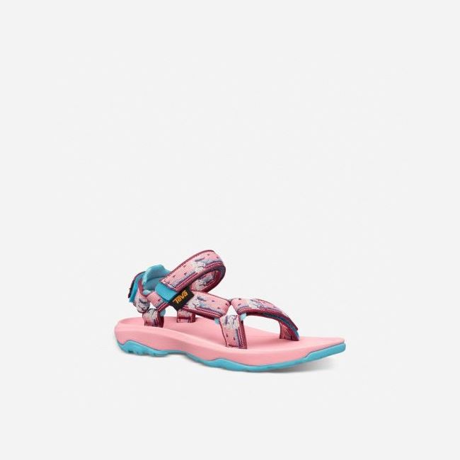 Pink Teva Hurricane XLT 2 Kids' Sandals | 6AMZBN1