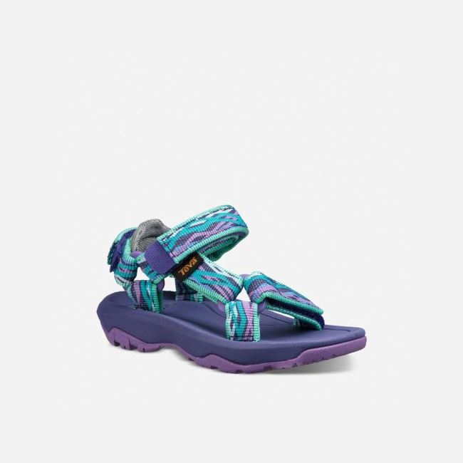 Purple Teva Hurricane XLT 2 Kids' Sandals | 62O0860