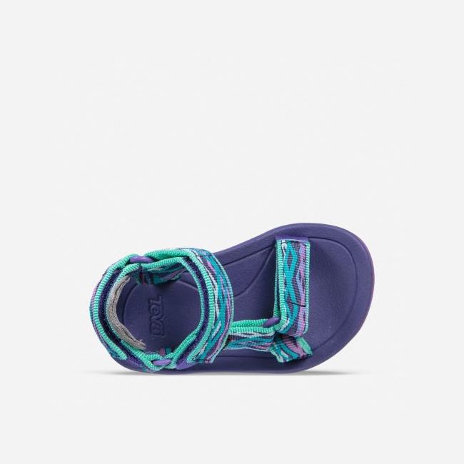 Purple Teva Hurricane XLT 2 Kids' Sandals | 62O0860