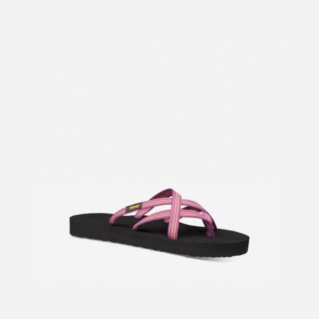 Red Purple Teva Olowahu Women's Flip Flops | 9O50L8Y