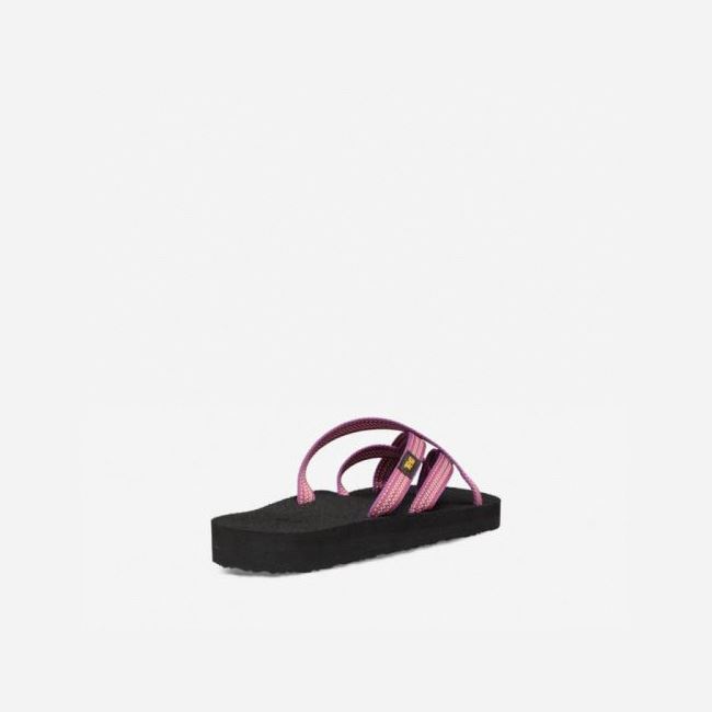 Red Purple Teva Olowahu Women's Flip Flops | 9O50L8Y