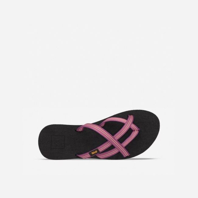 Red Purple Teva Olowahu Women's Flip Flops | 9O50L8Y