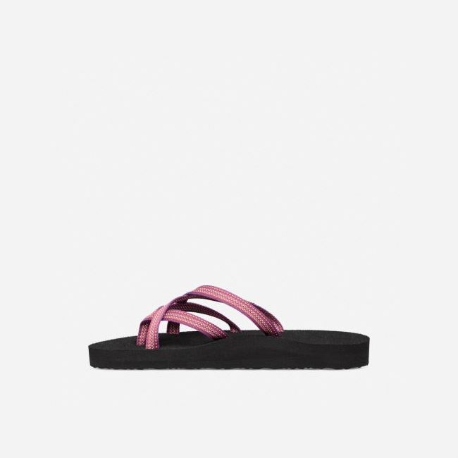 Red Purple Teva Olowahu Women's Flip Flops | A3750K1