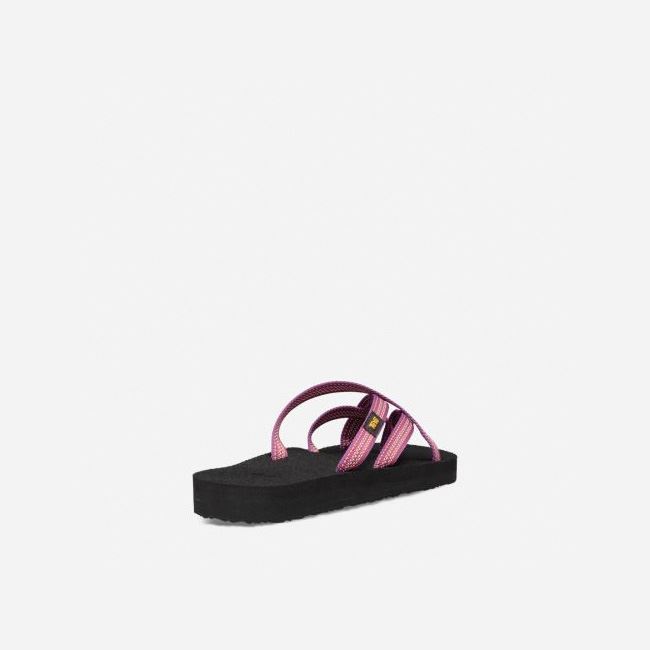 Red Purple Teva Olowahu Women's Flip Flops | A3750K1