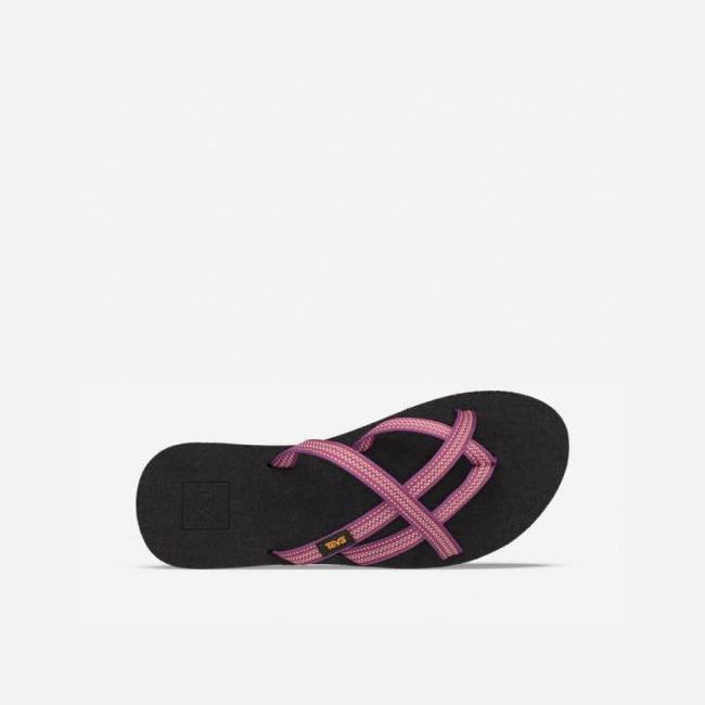 Red Purple Teva Olowahu Women's Sandals | PMEENDG