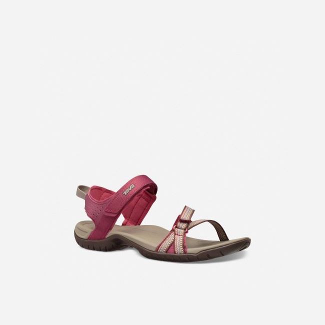 Red Purple Teva Verra Women's Sandals | 1SZ0TVB