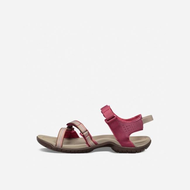 Red Purple Teva Verra Women's Sandals | 1SZ0TVB