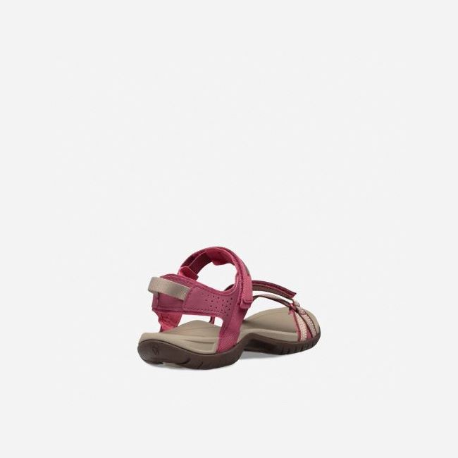 Red Purple Teva Verra Women's Sandals | 1SZ0TVB