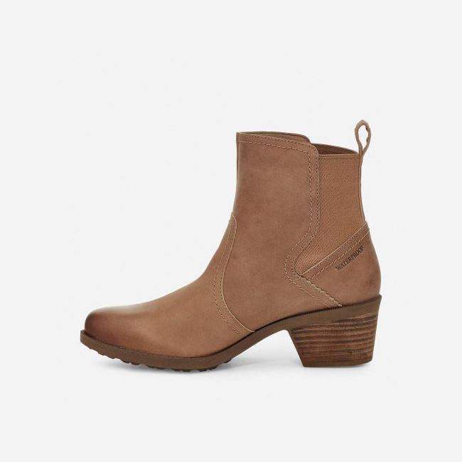 Sand Dune Teva Anaya Chelsea WP Women's Boots | YFWZLOO