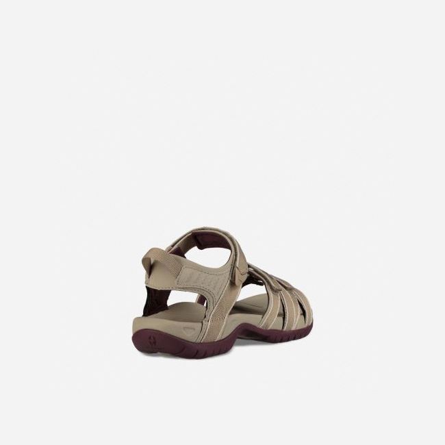 Valley Plaza Taupe / Vineyard Wine Teva Tirra Women's Sandals | 8R66I8P