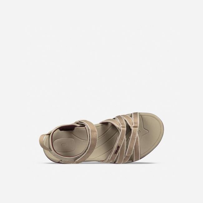 Valley Plaza Taupe / Vineyard Wine Teva Tirra Women's Sandals | 8R66I8P