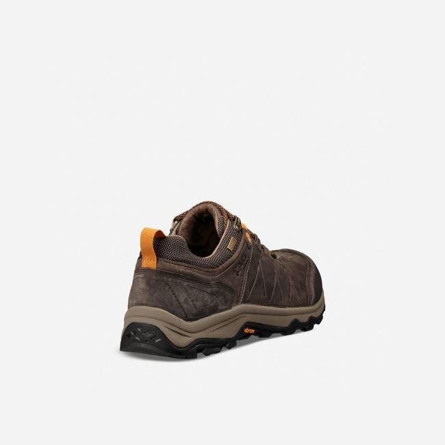 Walnut Teva Arrowood Riva WP Men's Sneakers | V0M6L9T