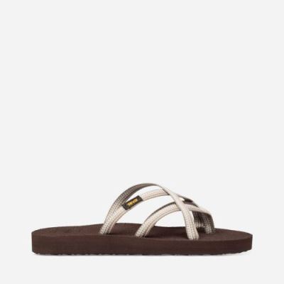 Antiguous Birch Teva Olowahu Women's Flip Flops | MC1NEEJ