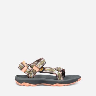 Canyon Sea Foam Teva Hurricane XLT 2 Kids' Sandals | 6F2QQYV