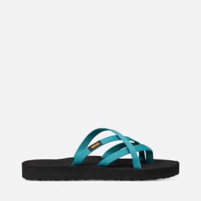 Deep Lake Teva Olowahu Women's Flip Flops | PBO6Q0M