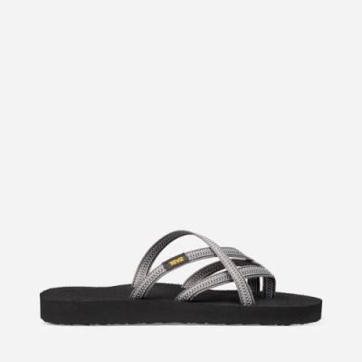 Grey Teva Olowahu Women's Flip Flops | 26M8E28