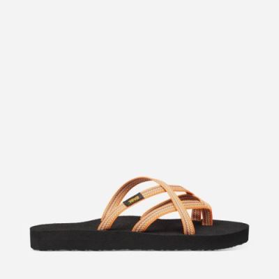 Orange Flower Teva Olowahu Women's Flip Flops | 8FO9202