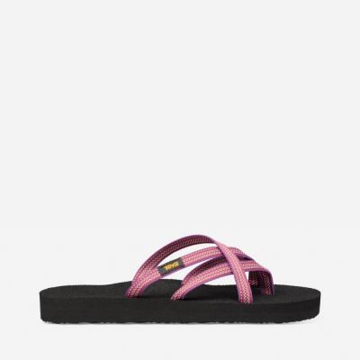 Red Purple Teva Olowahu Women's Flip Flops | 9O50L8Y