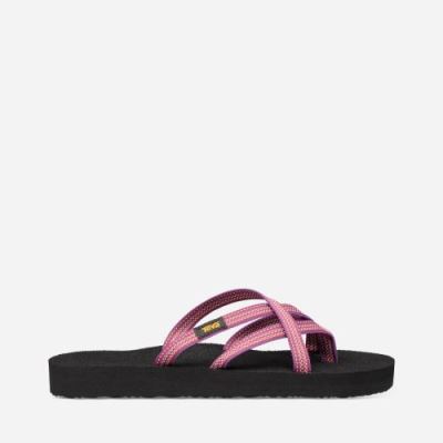 Red Purple Teva Olowahu Women's Flip Flops | A3750K1