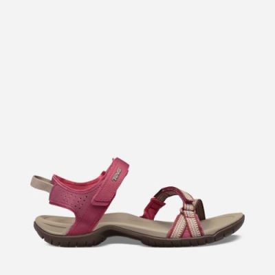 Red Purple Teva Verra Women's Sandals | 1SZ0TVB